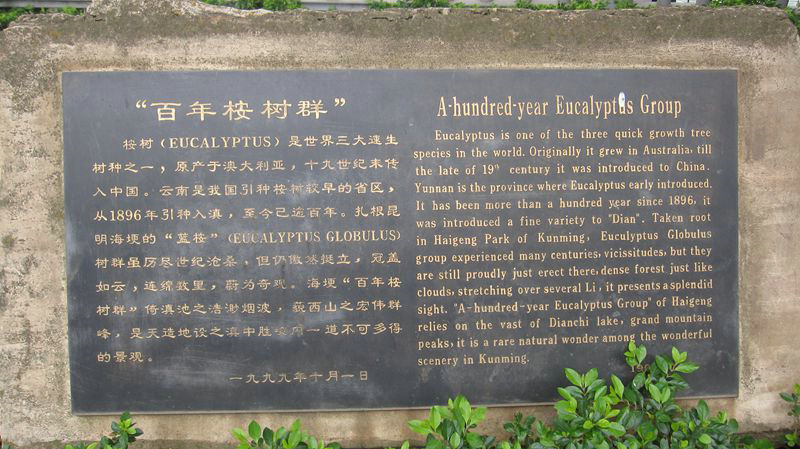 照片 014_副本.jpg