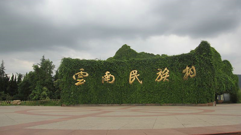 照片 019_副本.jpg